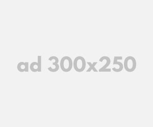 ACTIVITY 1 dummy ad 300x250 1